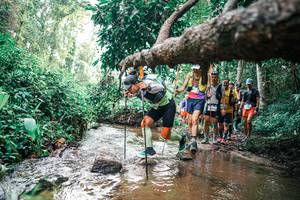 BIB: 
                            <button type="button" onclick="openModal(25370396)" class="btn btn-primary btn-sm float-right btn-popup" data-toggle="modal" data-target=".modal-high-quality">
                        <i class="fas fa-shopping-cart"></i> Add to Cart
                    </button>
                                            <button type="button" onclick="isThisMe(25370396, true)" class="btn btn-success btn-sm float-right btn-popup btn-isme hidden" data-toggle="tooltip" data-placement="bottom" title="นี่คือรูปของคุณใช่ไหม คลิกที่นี่เพื่อเอาเข้าอัลบั้ม">
                        <i class="fas fa-plus"></i> Add to album
                    </button>
                    <button type="button" onclick="isThisMe(25370396, false)" class="btn btn-warning btn-sm float-right btn-popup btn-isnotme hidden">
                        <i class="fas fa-ban"></i> Remove from album
                    </button>